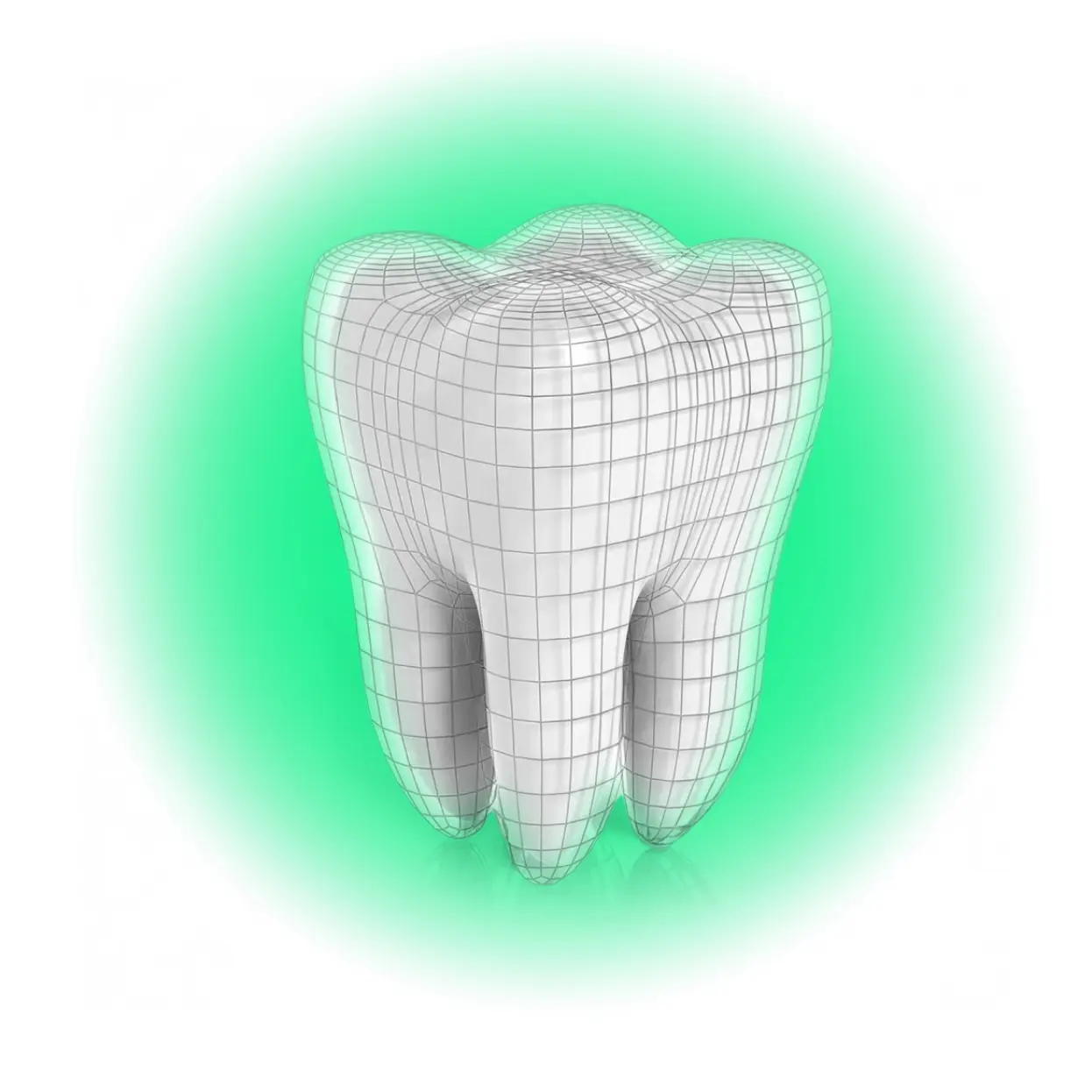 3D Tooth Model